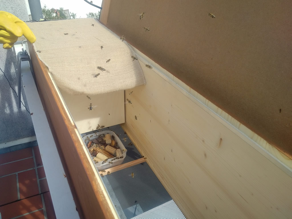 Bienenbox offen